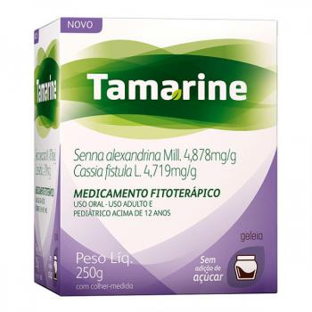 Tamarine Frasco Zero Acucar 250g